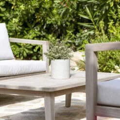 Puk Plant Pot - Grey Washed -Hortology Shop Puk Plant Pot Grey Washed Lifestyle