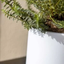 Puk Essentials Planter - Matt White -Hortology Shop Puk Planter Matt White Close Up