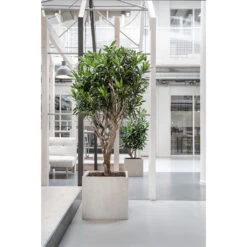 Raindrop Cube Planter - Stone -Hortology Shop Raindrop Cube Planter Stone Lifestyle