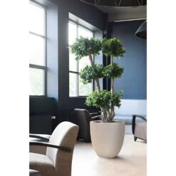 Raindrop Egg Planter - Stone -Hortology Shop Raindrop Egg Planter Stone Indoor Plants