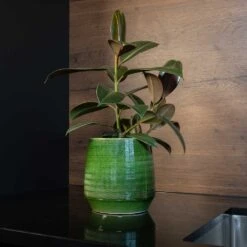 Remi Plant Pot - Green 27 Remi Plant Pot - Green -Hortology Shop Remi green 02
