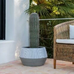 Low Harley Plant Pot - Ridged White Stripe -Hortology Shop Ridged Low Harley Plant Pot White Stripe Large Cactus