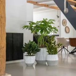 Jesslyn Plant Pot - Ridged White Stripe -Hortology Shop Ridged White Stripe Planters 3de83b96 a949 4c68 9448 371e9a4f6605