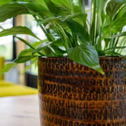 Sanna Plant Pot - Savanna -Hortology Shop Sanna Savana 2