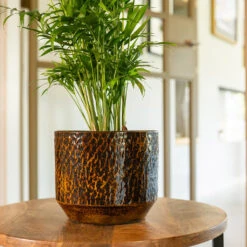 Sanna Plant Pot - Savanna -Hortology Shop Sanna Savana 4