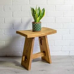 Sansevieria Trifasciata Futura Superba 23 Sansevieria Trifasciata Futura Superba -Hortology Shop Sansevieria trifasciata Futura Superba liam turquoise plant pot natural