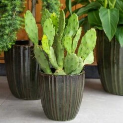 Scott Planters - Set Of 3 - Green -Hortology Shop Scott Planters Set of 3 Green Lifestyle 01