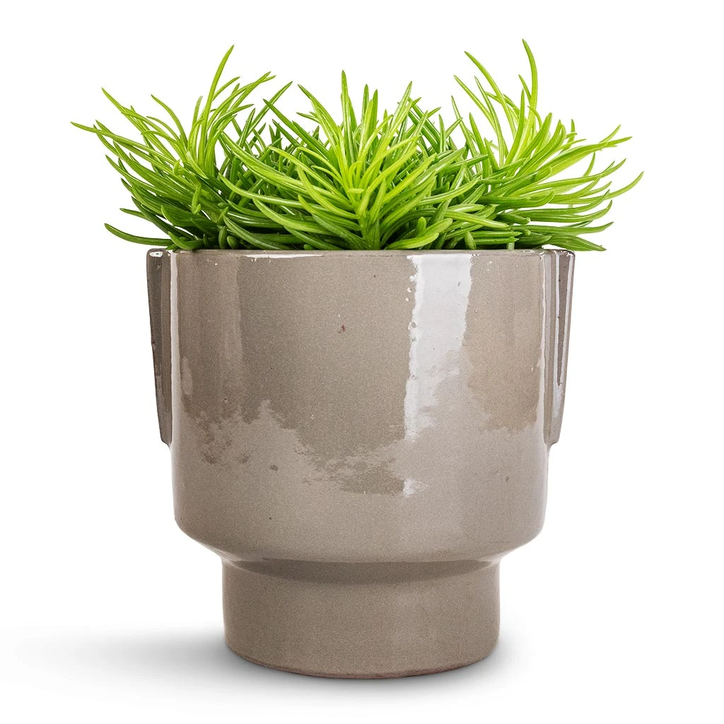 Aries Handles Plant Pot - Charcoal 8 Aries Handles Plant Pot - Charcoal - Image 8