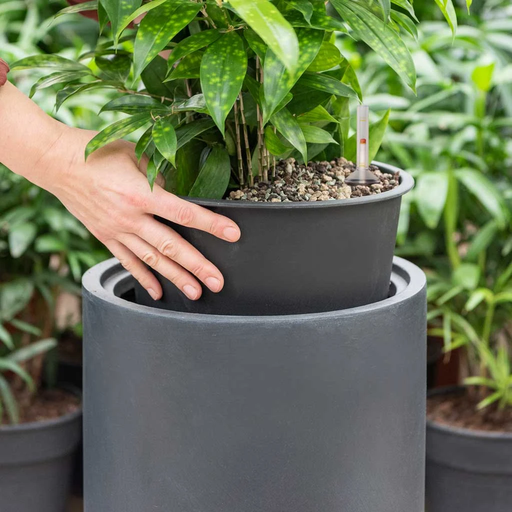 Solid Cylinder Planter - Dark Grey 3 Solid Cylinder Planter - Dark Grey - Image 3