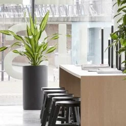 Solid Cylinder Planter - Dark Grey 10 Solid Cylinder Planter - Dark Grey -Hortology Shop Solid Cylinder Planter Dark Grey 3