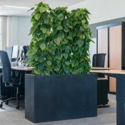 Solid Rectangle Planter - Dark Grey -Hortology Shop Solid Rectangle Planter Dark Grey 1