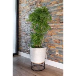 Stefan Plant Baskets - Set Of 3 - Natural 10 Stefan Plant Baskets - Set Of 3 - Natural -Hortology Shop Stefan Plant Basket Natural Indoor Tree