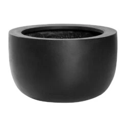 Sunny Natural Bowl Planter - Black 7 Sunny Natural Bowl Planter - Black -Hortology Shop Sunny Natural Planter Black 33x20cm