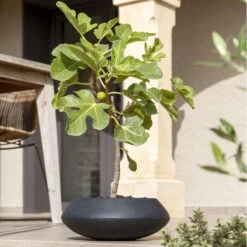 Tara Natural Bowl Planter - Black -Hortology Shop TaraNaturalPlanter Black 3