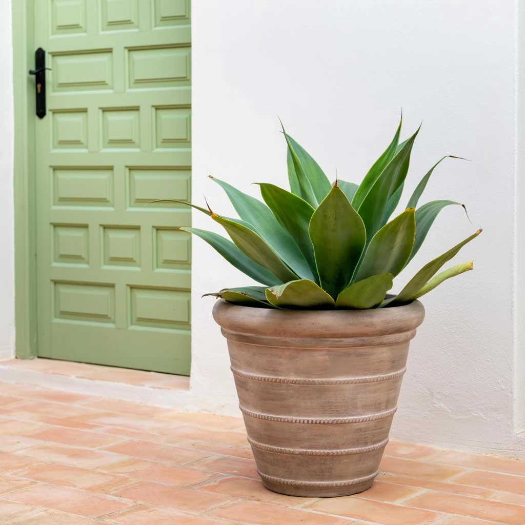 Treasure Selena Planter - Chalk Beige 4 Treasure Selena Planter - Chalk Beige - Image 4