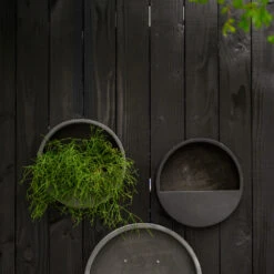 Wally Natural Wall Planter - Black -Hortology Shop WallyNaturalWallPlanter Black 4