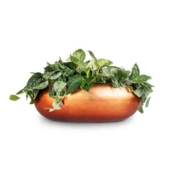 Metallic Boat Planter - Matt Copper -Hortology Shop White Wonder Satin Pathos Metallic Boat Planter Matt Copper 56x23x20cm