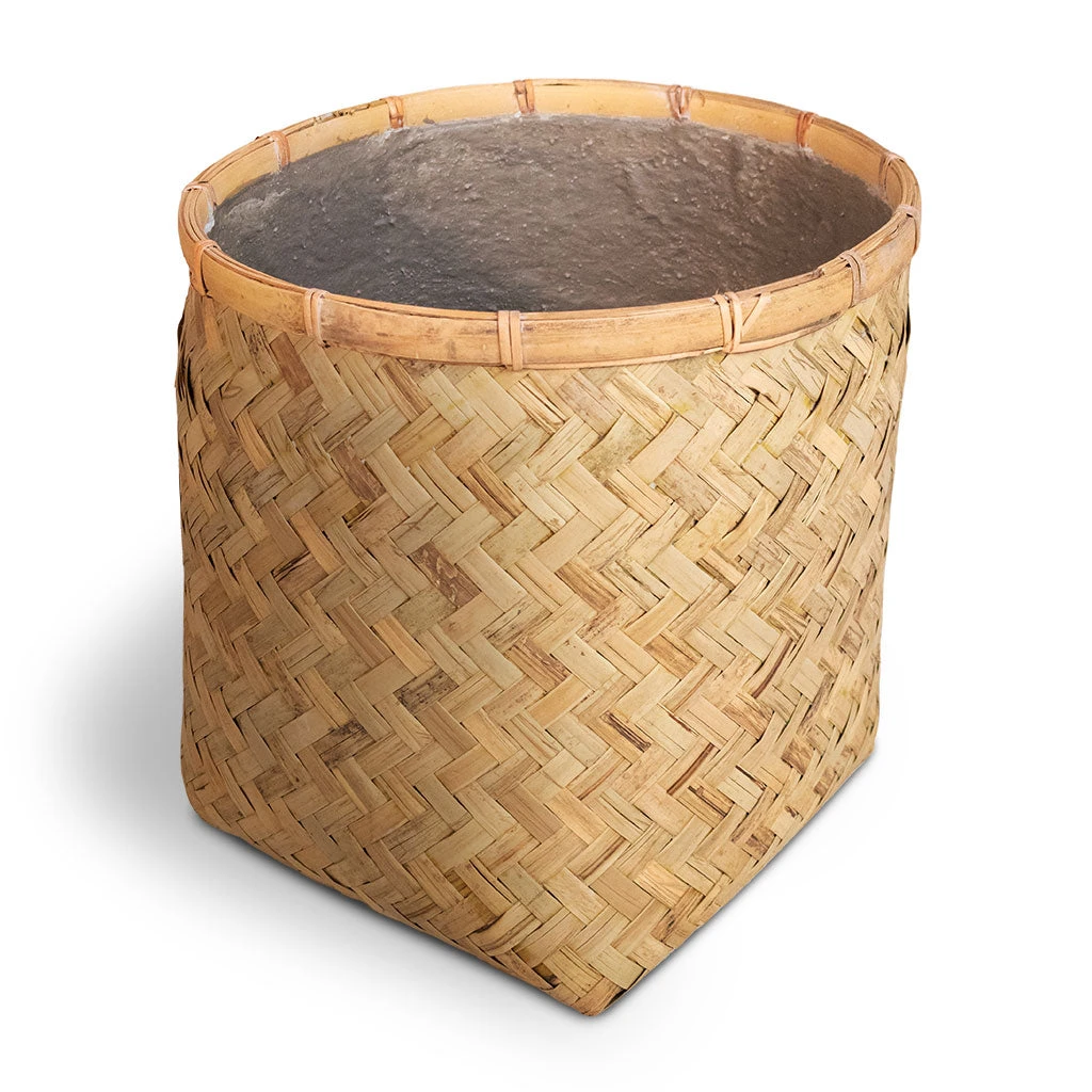 Zayn Bamboo Planter 8 Zayn Bamboo Planter - Image 8