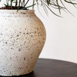 Zeus Mediterranean Planter - Chalk White 7 Zeus Mediterranean Planter - Chalk White -Hortology Shop Zeus Mediterranean Planter Chalk White Lifestyle