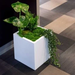 Block Essentials Planter - Matt White -Hortology Shop block planter essential matte white indoor plants cube