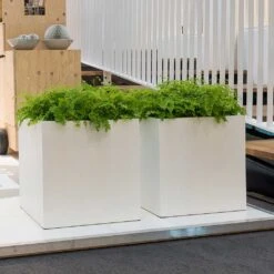Block Essentials Planter - Matt White -Hortology Shop block planters essential matte white indoor ferns