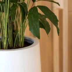 Nax Essentials Tall Planter - Matt White -Hortology Shop nax planter essential matte white edge