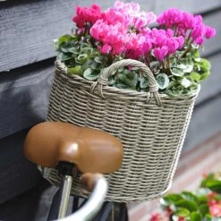 Paula Wikr Plant Baskets - Set Of 4 - Natural 7 Paula Wikr Plant Baskets - Set Of 4 - Natural -Hortology Shop paula wicker plant baskets set of 4 natural lifestyle 002