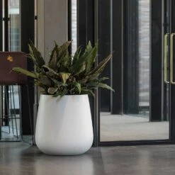 Pax Essentials Planter - Matt White 11 Pax Essentials Planter - Matt White -Hortology Shop pax planter essential matte white office plants