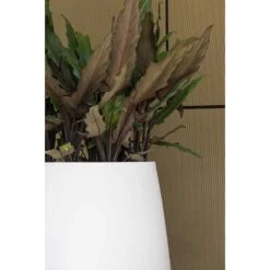 Pax Essentials Planter - Matt White 15 Pax Essentials Planter - Matt White -Hortology Shop pax planters essential matte white clos up