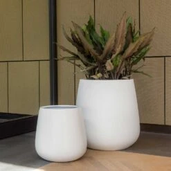 Pax Essentials Planter - Matt White 13 Pax Essentials Planter - Matt White -Hortology Shop pax planters essential matte white office plants