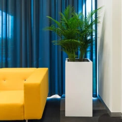 Bouvy Essentials Planter - Matt White 12 Bouvy Essentials Planter - Matt White -Hortology Shop pottery pots essential matte bouvy 5