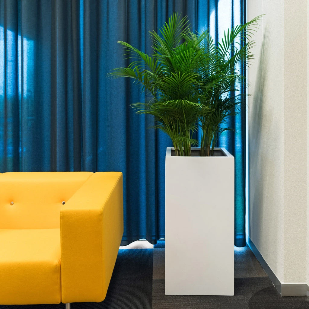 Bouvy Essentials Planter - Matt White 5 Bouvy Essentials Planter - Matt White - Image 5