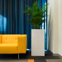 Bouvy Essentials Planter - Matt White 14 Bouvy Essentials Planter - Matt White -Hortology Shop pottery pots essential matte bouvy 6